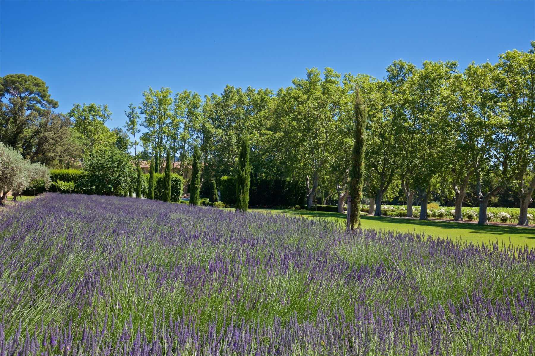 Domaine de Beau-Fleurs villa photo.
